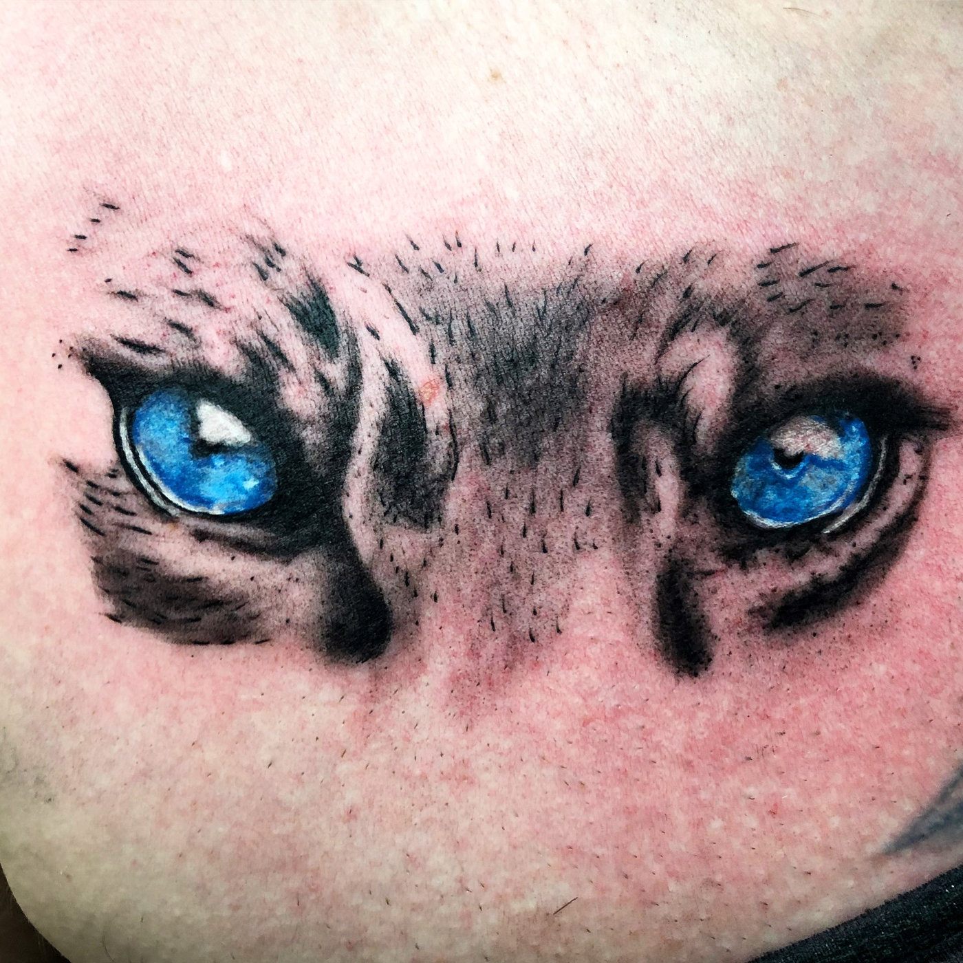 Tattoo by Jimmy C